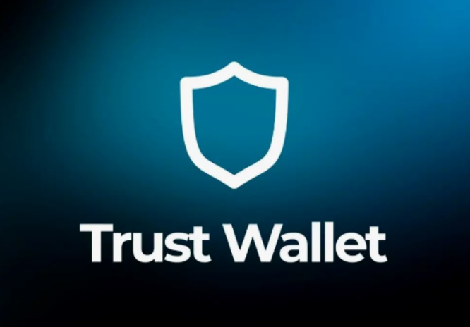 Trust Wallet发送到代币合约地
